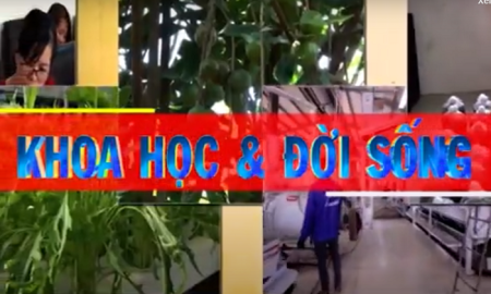 Hội thảo giải pháp duy trì và nâng cao giá trị các sản ocop của tỉnh lai châu