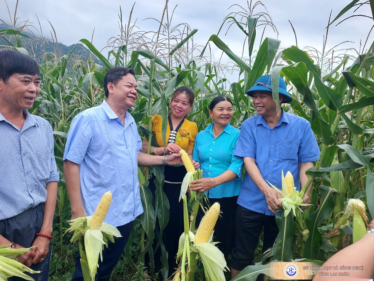 anh-2-bia-3.jpg