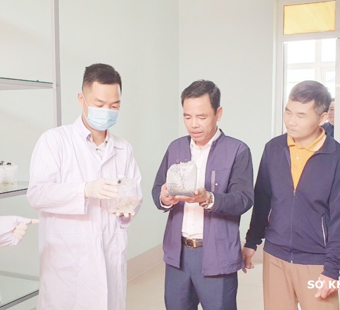 Ban Giám đốc Sở thăm khu nuôi cấy mô của Trung tâm Kiểm định và Phát triển KHCN