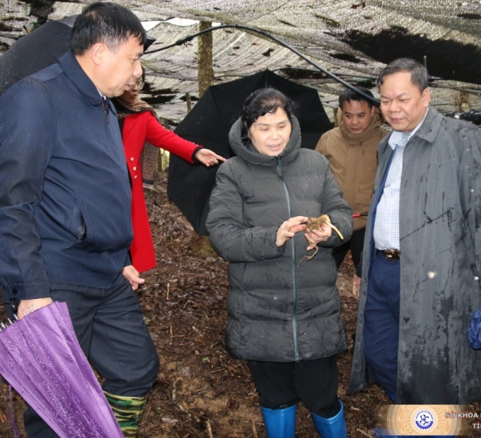 anh-gui.jpg