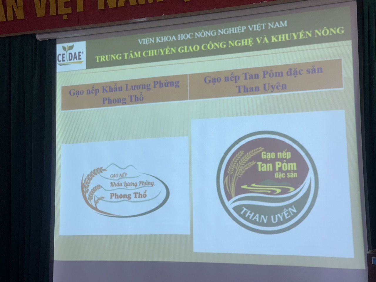 https://skhcn.laichau.gov.vn/upload/105280/fck/vuthanhhuyen/z6350793122591_f1274860ed9be1bbba752fd5e775686b.jpg